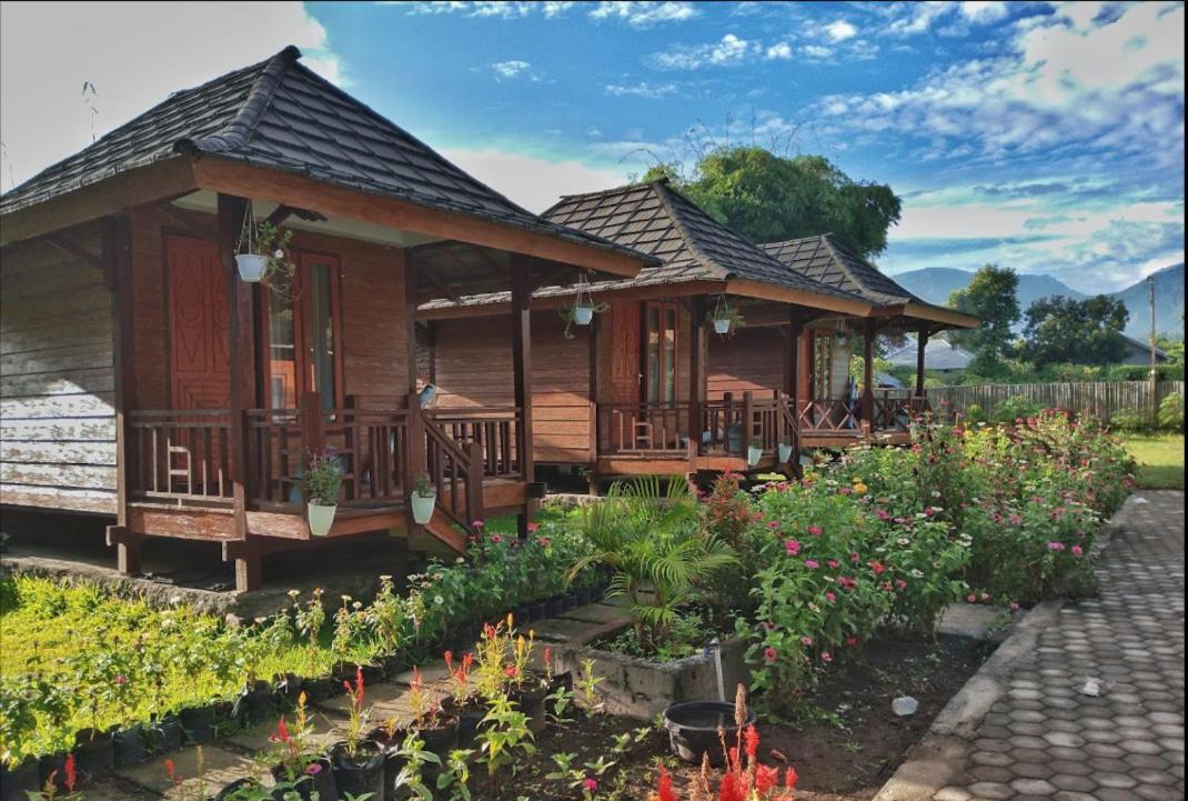 Puncak Rinjani Lodge 塞姆博伦拉旺 外观 照片