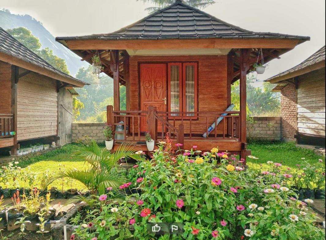 Puncak Rinjani Lodge 塞姆博伦拉旺 外观 照片